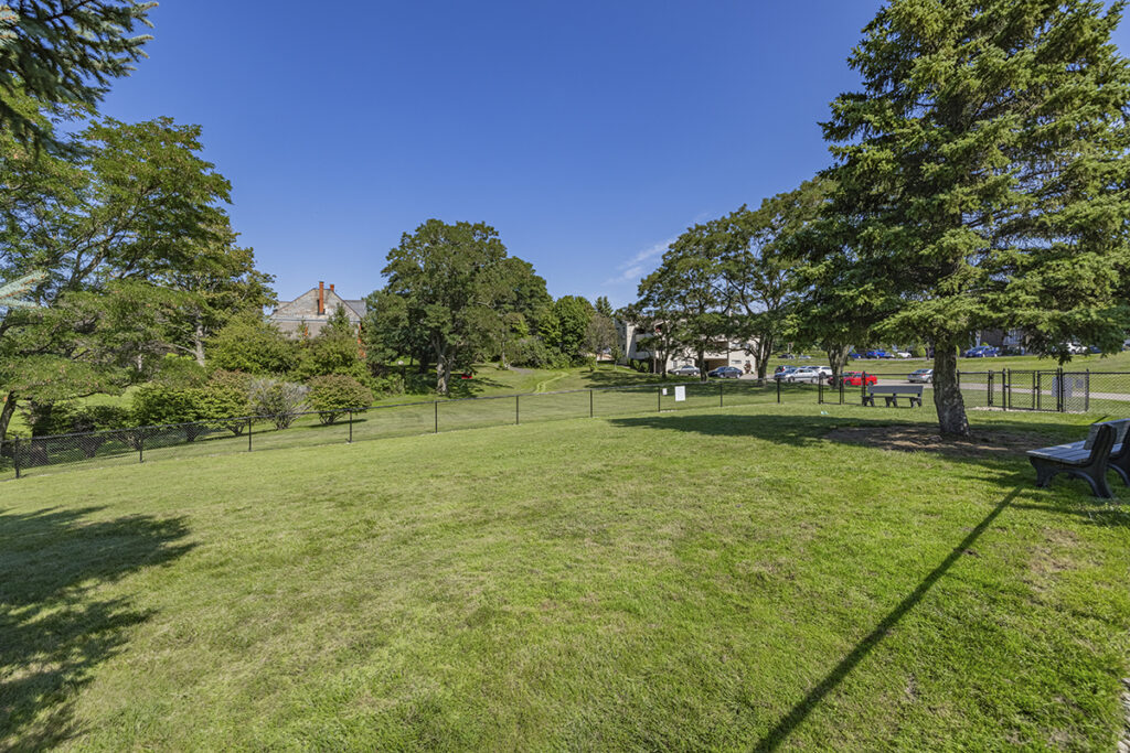 Fenced-in dog park at Alpine Village featuring seating, dog waste stations, and ample space for dogs to run and play. A perfect spot for pet owners to relax while their dogs enjoy the large, open area.