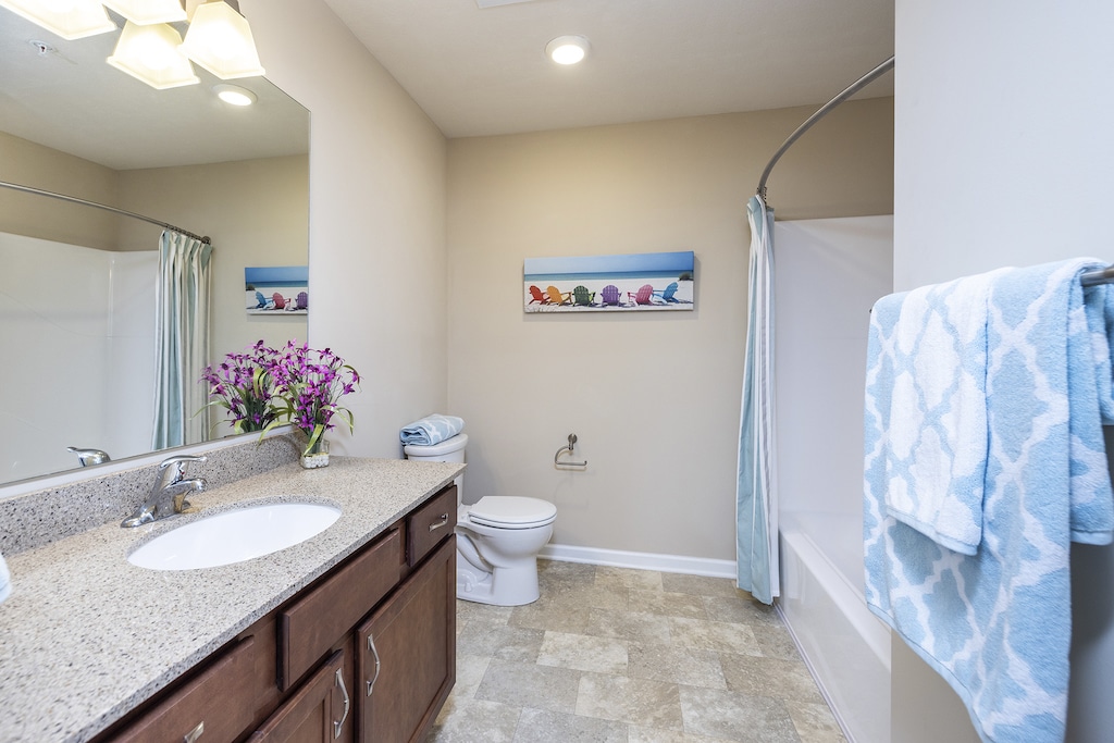 Modern bathroom with a granite countertop, single sink, and a tub-shower combo. A painting and a vase with purple flowers decorate the space.