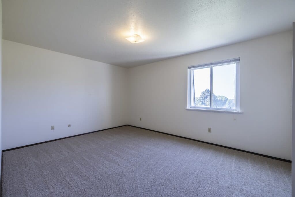 An empty room with beige carpet, white walls, and a window showing a view of trees. There's a ceiling light and electrical outlets on the walls.