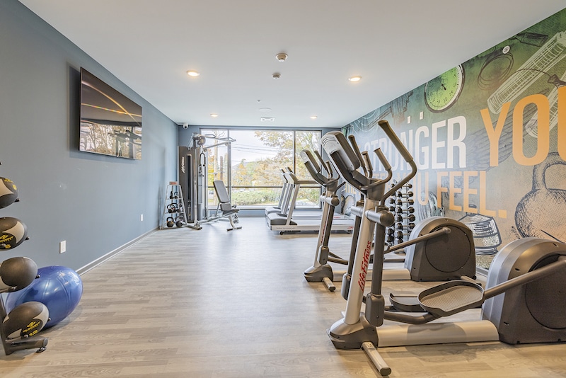 A modern gym with several exercise machines, a wall mural, and free weights on a rack. Large windows provide natural light.