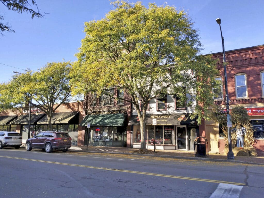 Street view of a small-town commercial area with shops, trees, parked cars, and overhead streetlights under a clear blue sky.