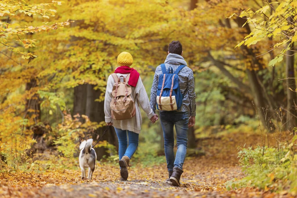 A couple with backpacks and a dog walk along a forest path lined with yellow autumn leaves.