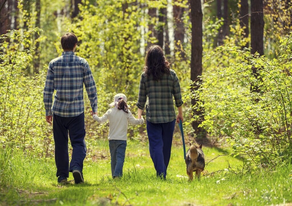 A family walks hand in hand with their dog on a leash, along a sunlit forest path.