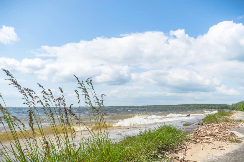 Sandy shoreline with grass and driftwood, waves on a large body of water, and a blue sky with scattered clouds.