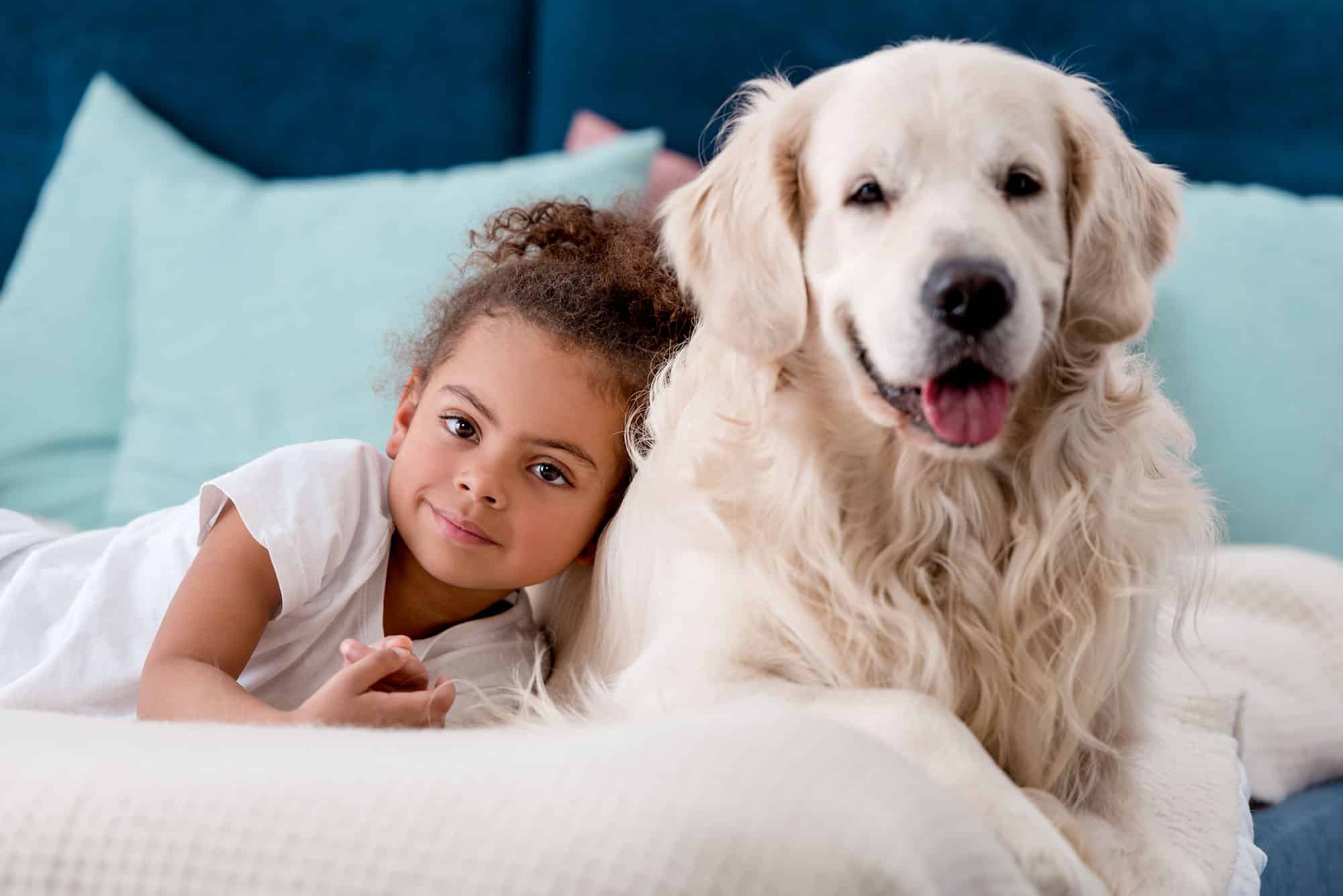 A child lies on a bed next to a large white dog, both looking at the camera. The background includes blue pillows.