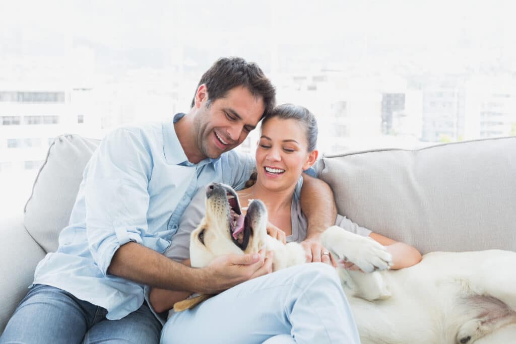 A couple sits on a sofa, smiling and petting a happy dog. The background shows an urban landscape.